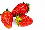 Strawberry Stock Photo