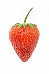 Strawberry Berries White Background Stock Photo