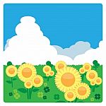 Sunflower Meadow In The Sunny Day Stock Photo