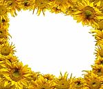 Sunflowers Frame Stock Photo