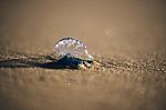 Sunshine Beach At Noosa, Sunshine Coast Stock Photo