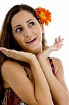 Surprising Lady With Gerbera In Hair Stock Photo