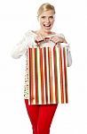 Surprising Lady With Gift Bag Stock Photo