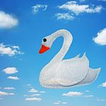 Swan Stock Photo