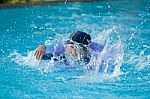 Swimming Kid Stock Photo