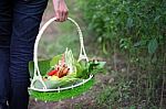 Thai Herbs In Basket Stock Photo