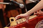 Thai Zither Stock Photo