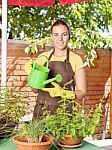 The Cultivation Of Plants In Pots Stock Photo