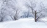 The Path In A Park Stock Photo