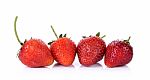 The Strawberries Isolated On A White Background Stock Photo