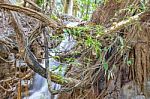 The Water Flowing Over Rocks And Trees Down A Waterfall At Huay Mae Khamin Waterfall National Park ,kanchana Buri In Thailand Stock Photo