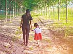 The Woman And Child Holding Hands At Sunset Stock Photo