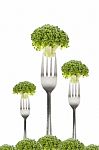 Three Broccoli On Forks Stock Photo