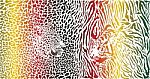 Tiger And Leopard And Color Pattern Background Stock Photo