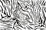 Tiger Pattern Background Stock Photo