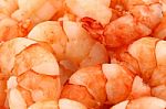 Tiger Prawns Stock Photo