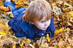 Toddler Blond Boy With Blue Eyes Lays On Bed Of Autumn Fallen Le Stock Photo