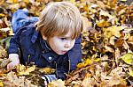 Toddler Blond Boy With Blue Eyes Lays On Bed Of Autumn Fallen Le Stock Photo