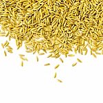 Top View Of Paddy Rice And Rice Seed On The White Background For Isolated Stock Photo