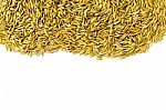 Top View Of Paddy Rice And Rice Seed On The White Background For Isolated Stock Photo