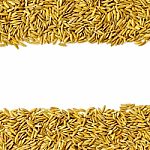 Top View Of Paddy Rice And Rice Seed On The White Background For Isolated Stock Photo