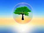 Tree In A Bubble Stock Photo