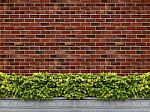 Tree With Brick Wall Background Stock Photo