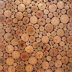 Tree Wood Brown Circle Stumps Stock Photo