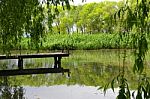 Trees And A Boat  Near The Lake And River Stock Photo