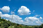 Trees And Mountains On A Bright Sky Stock Photo