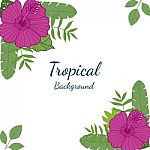 Tropical Leaves And Flowers On White Background. Exotic Botanica Stock Photo