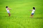 Tug Of War Between Two Girls Stock Photo