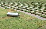 Turf Grass Sheet On Football Field Stock Photo