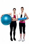 Two Fitness Girls Posing After Workout Stock Photo