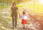 Two Hands Holding Puzzle Mother And Child,the Woman And Child Holding Hands At Sunset Stock Photo