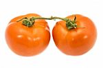 Two Tomato With Green Stem On White Background Stock Photo