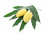 Two Yellow Mango And Pile Leaf Isolated On White Background Stock Photo