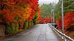 Uphill Street With Colorful Autumn Leaves Stock Photo