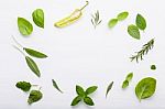 Various Fresh Herbs For Cooking Ingrediens Peppermint , Sweet Ba Stock Photo