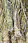 Vegetable Dried Stock Photo