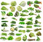 Vegetables Collection Isolated On White Background Stock Photo