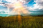 View Of Landscape Rice Field And Mountian At Chaingmai,thailand Stock Photo