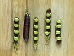 Violet Hybrid Variety Of Pea On A Wooden Desk Stock Photo