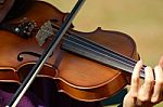 Violin Stock Photo