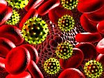 Virus And Blood Cells  Stock Photo