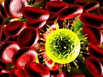 Virus And Blood Cells  Stock Photo