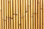 Wall Of Bamboo Stock Photo