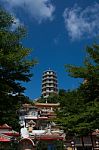 Wat Tham Seua & Wat Tham Khao Noi Stock Photo