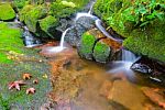 Waterfalls And Maple Leaf At Phu Soi Dao Uttaradit Stock Photo