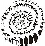 Waterfowl Birds In A Spiral Stock Photo